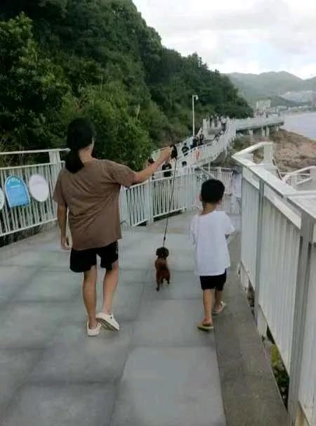 我侄女还有长高的余地吗？现在她那么矮，以后想嫁出去都难哦，2010年12月的，现