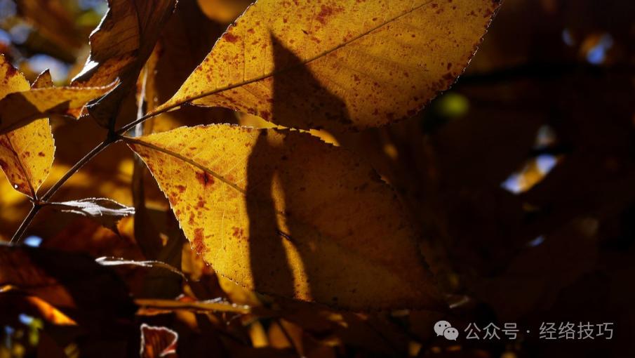 睡前这样拍肝经100次，肝经通了，脸会更干净，闷着的气也顺畅了！