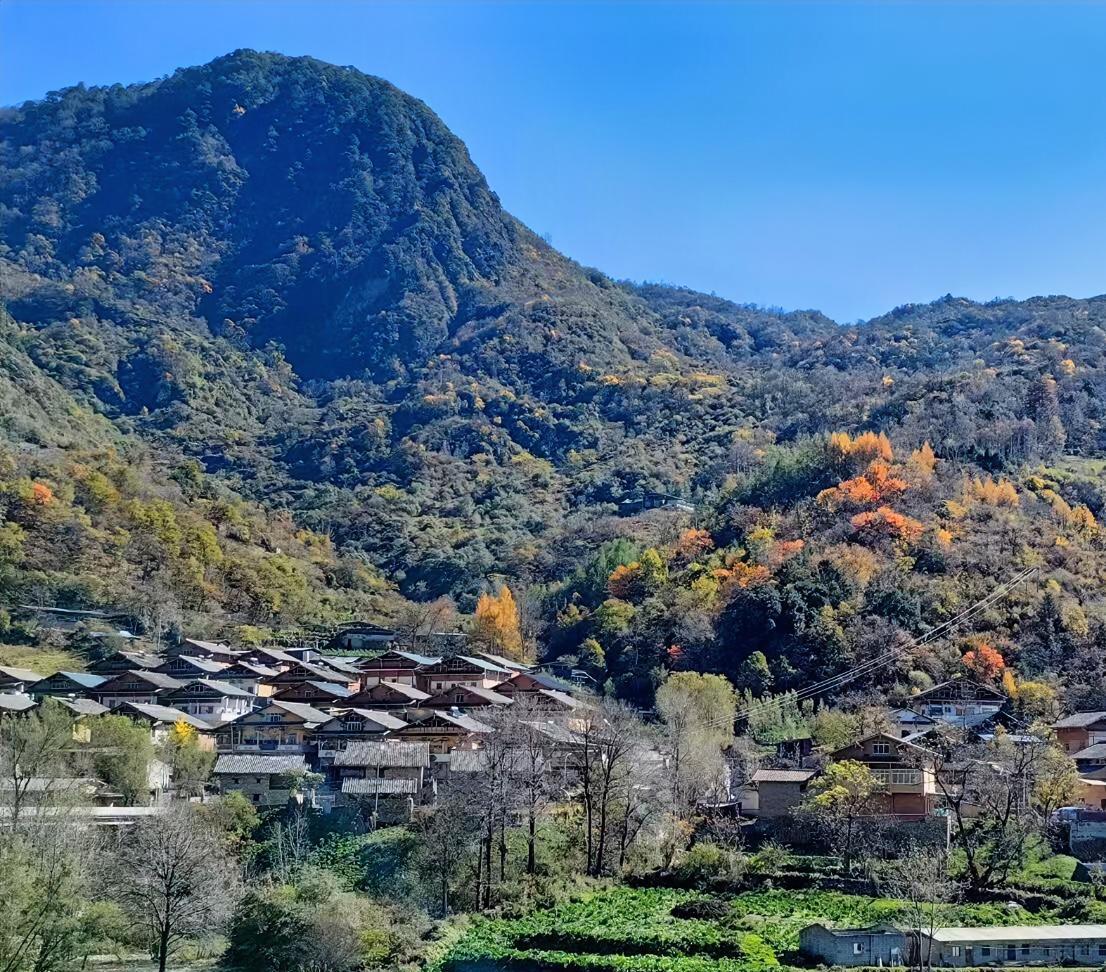 和几个朋友聊天，我发现，男人年龄越大，越喜欢回老家，他们常把退休后回老家养老当做