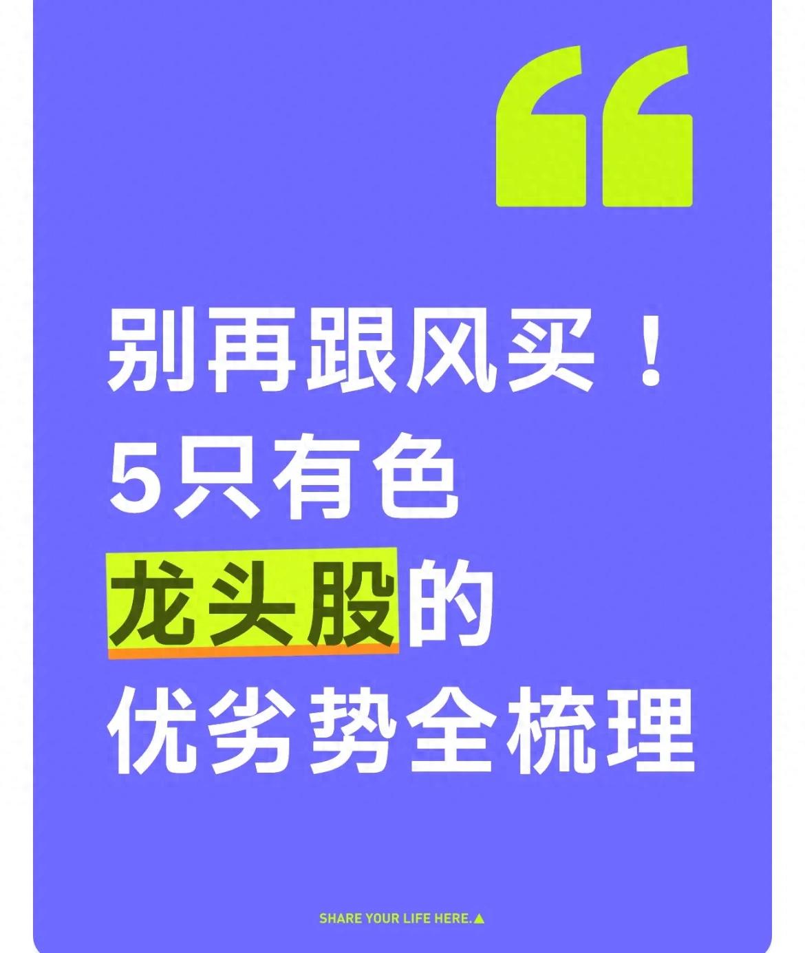 5只有色龙头股深度解析：优劣势对比与投资逻辑