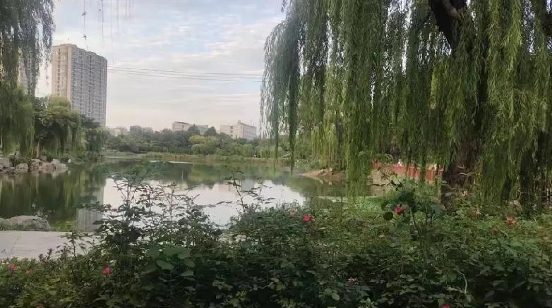 办完母亲的丧事，回来算账时，大姐的举动，温暖了我。
母亲生了我们五兄妹，我的上面