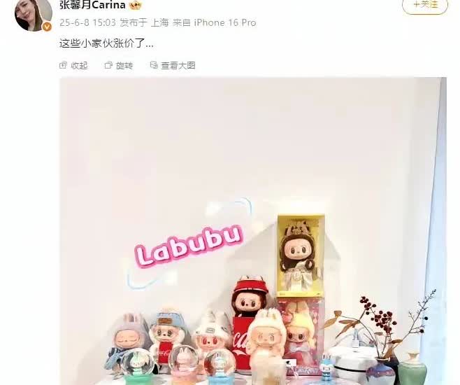 林峯妻子张馨月晒出了一柜子labubu，
配文：这些小家伙涨价了

杜淳妻