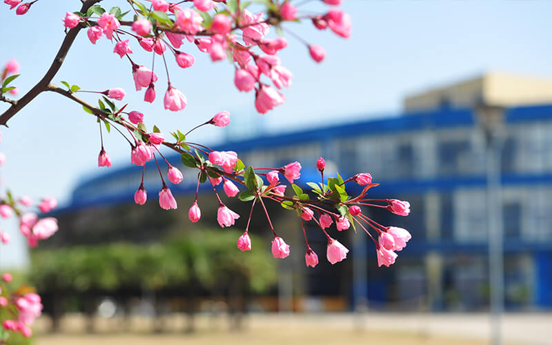 东华大学怎么样？