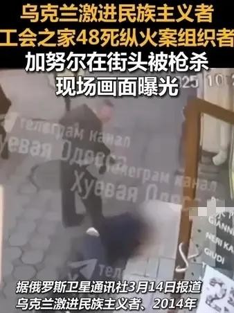 乌克兰民族主义者被枪杀





震惊！乌克兰一个激进民族主义者，敖德萨纵火案的