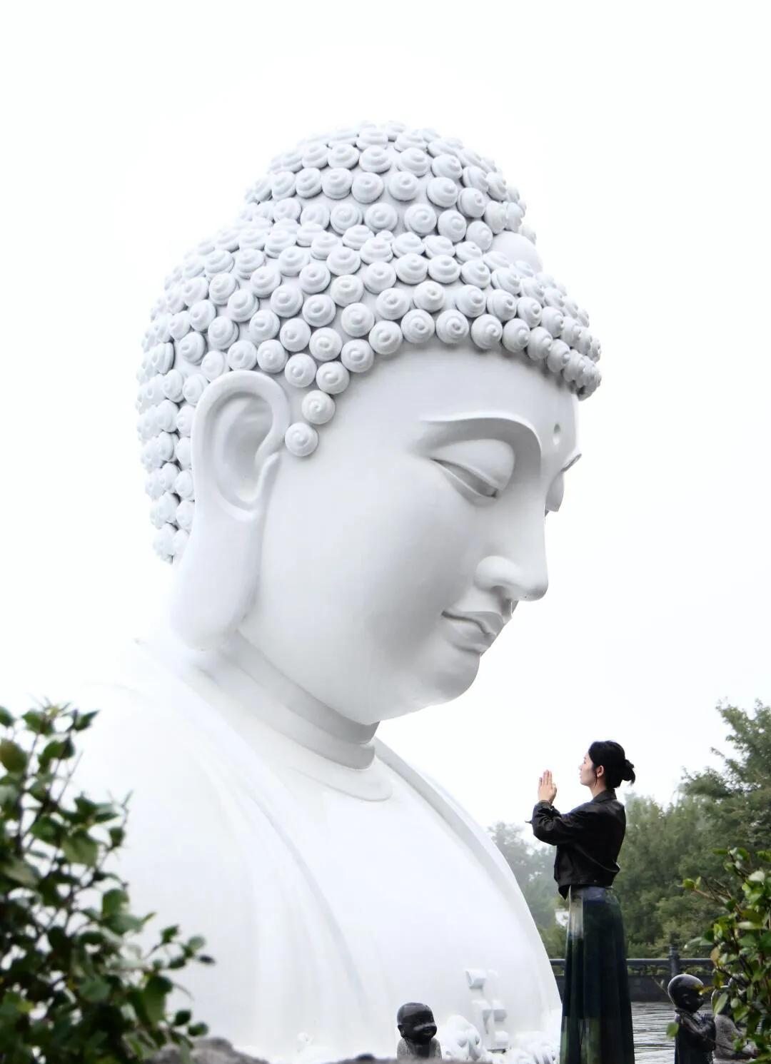 因果有轮回，苍天饶过谁？  二十多年的命理经验，让我明白一个道理：善恶终有报。