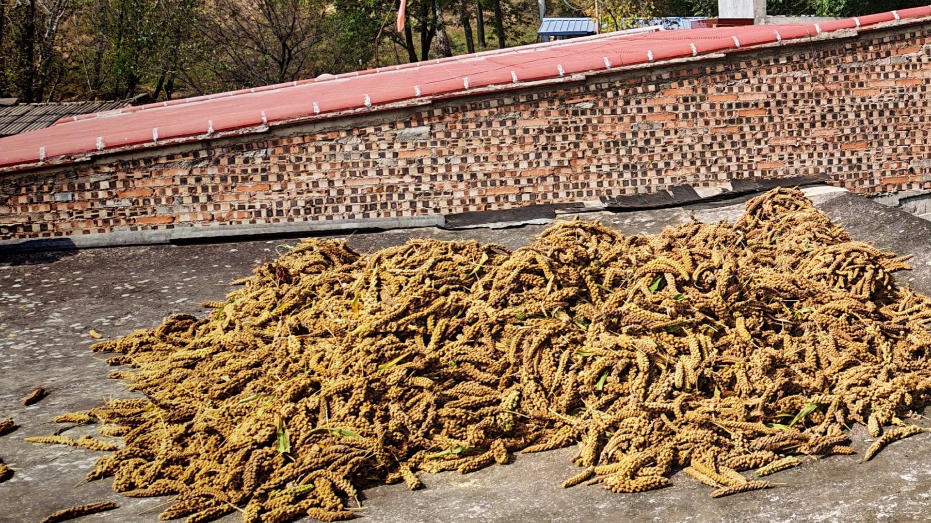 她真的独立了吗？(第二十一篇)