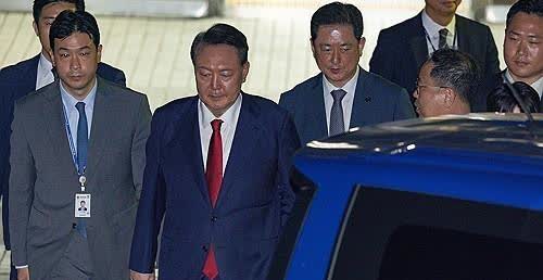 声称