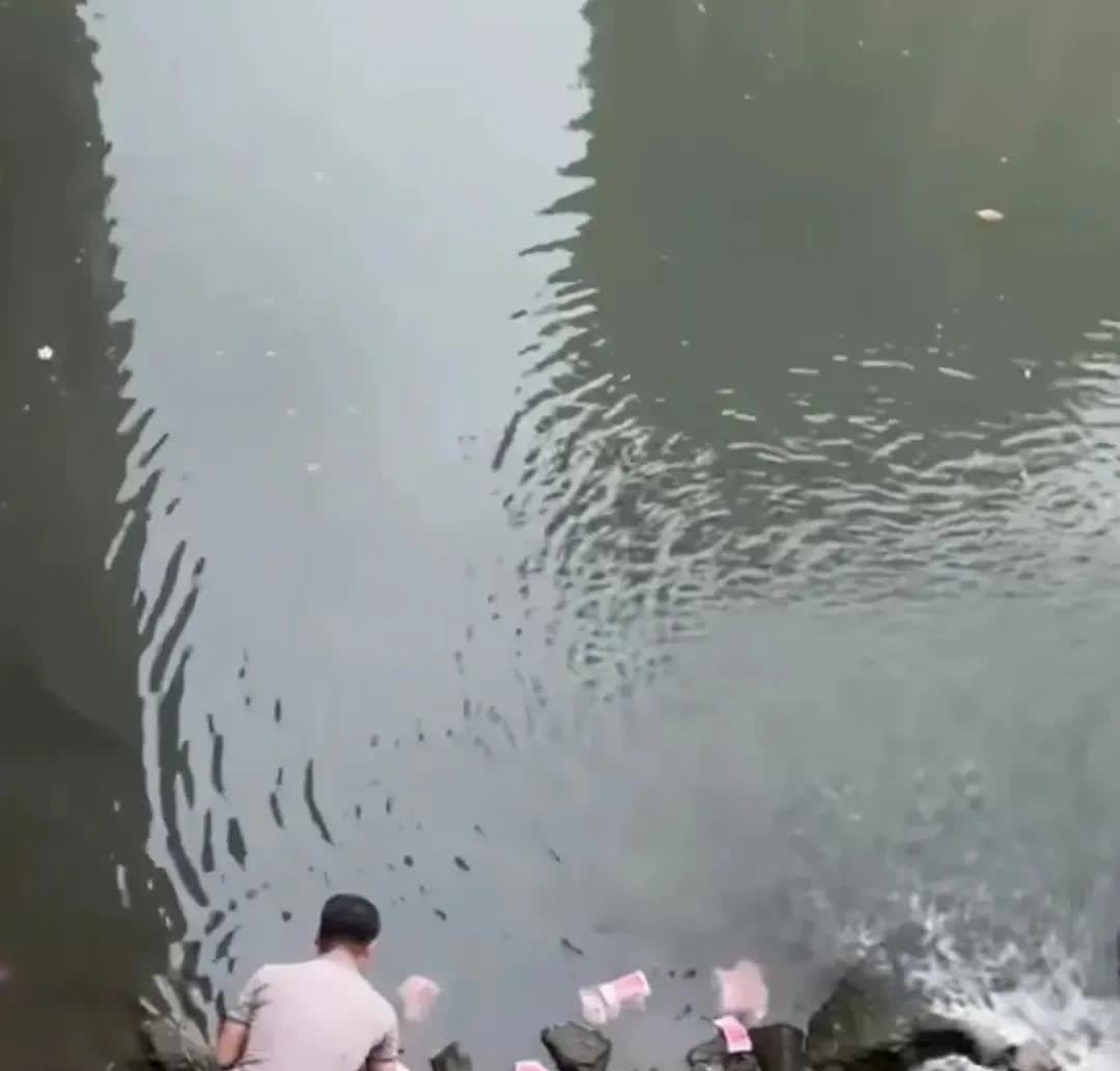 深圳的河道里泡着几捆百元大钞票，路过的大哥看到后直接下去捡，可是有位女士得了眼红