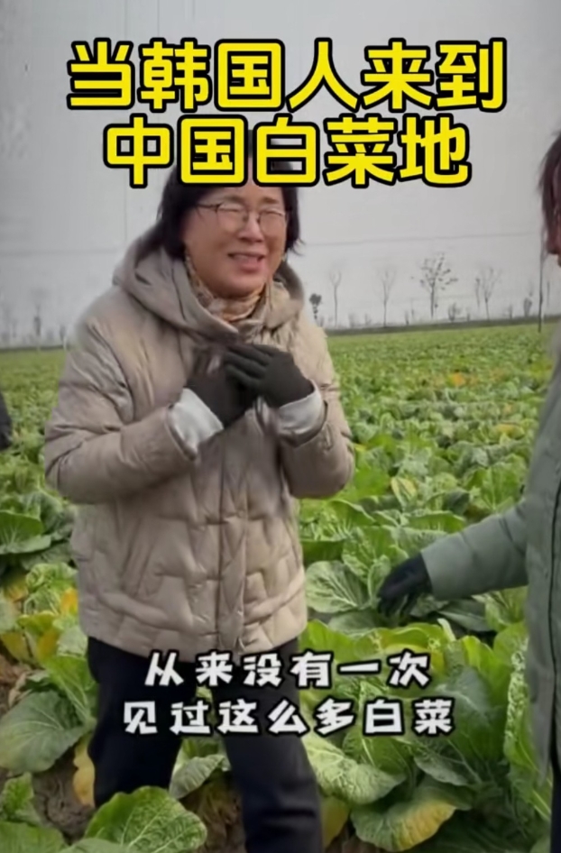 看到韩国人来到中国白菜地，激动到欢呼，但只是喊“我最爱大白菜”。
   恐怕这也