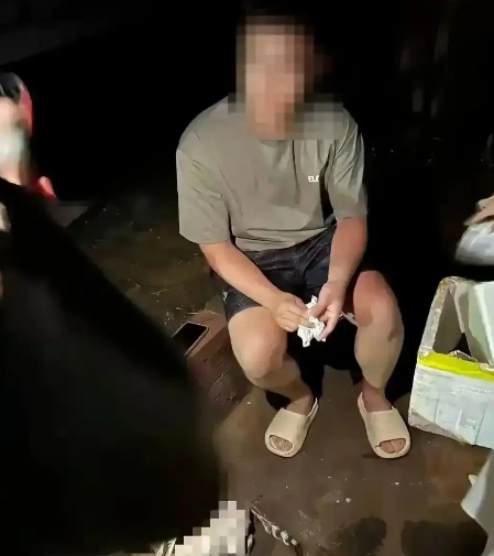 广东一大学学生将他人饲养的小猫带到寝室后，喂食过程中只因小猫的一个举动，便将其残