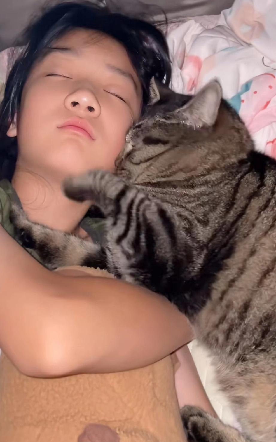 清晨，唤女儿起床用餐，推门却见家中狸花猫正紧紧抱着她，睡得酣甜。
主人轻轻拍了拍
