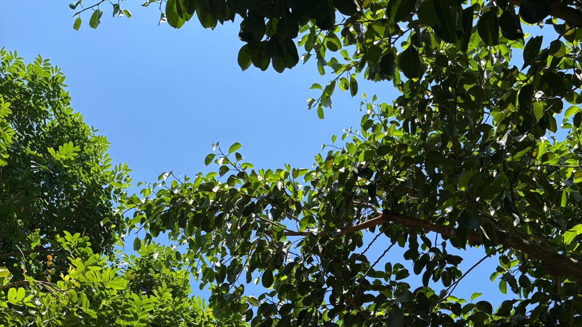 且以积极乐观的心态拥抱幸福