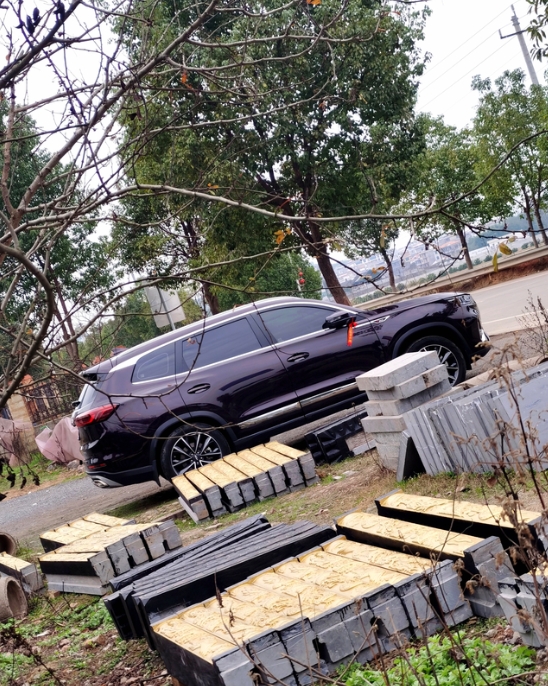 瑞虎8pluss用车经历

2021年04月28日提的瑞虎8pluss，豪耀版，