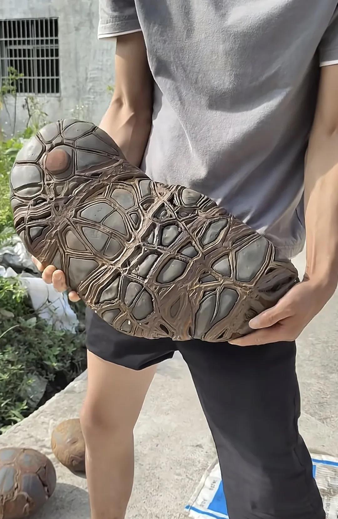 看看这个大家伙好看吗？早上刚捡到的石头，喜欢的朋友约一起去捡！