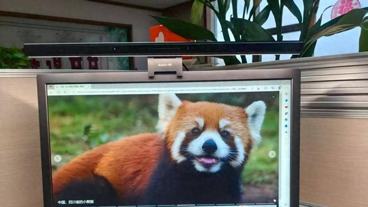 开学季什么产品最畅销？2026年最新统计上大学必备物品分享