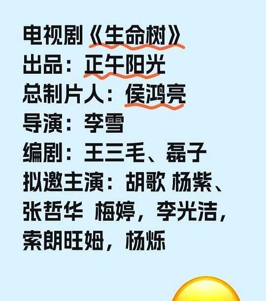 出品：正午阳光
总制片人：侯鸿亮
导演：李雪
编剧：王三毛、磊子
拟邀主演：胡歌