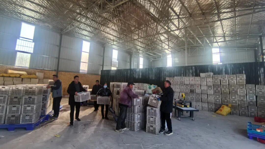 “潼”瞰“十四五”丨临潼区行者街道：基础设施焕新颜 产业振兴促增收