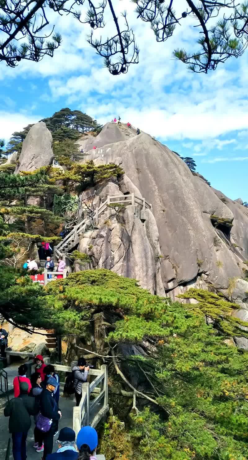 刚刚刷到2025百度黄山青松音乐节的宠粉操作，真是羡慕的不行不行了！

5月