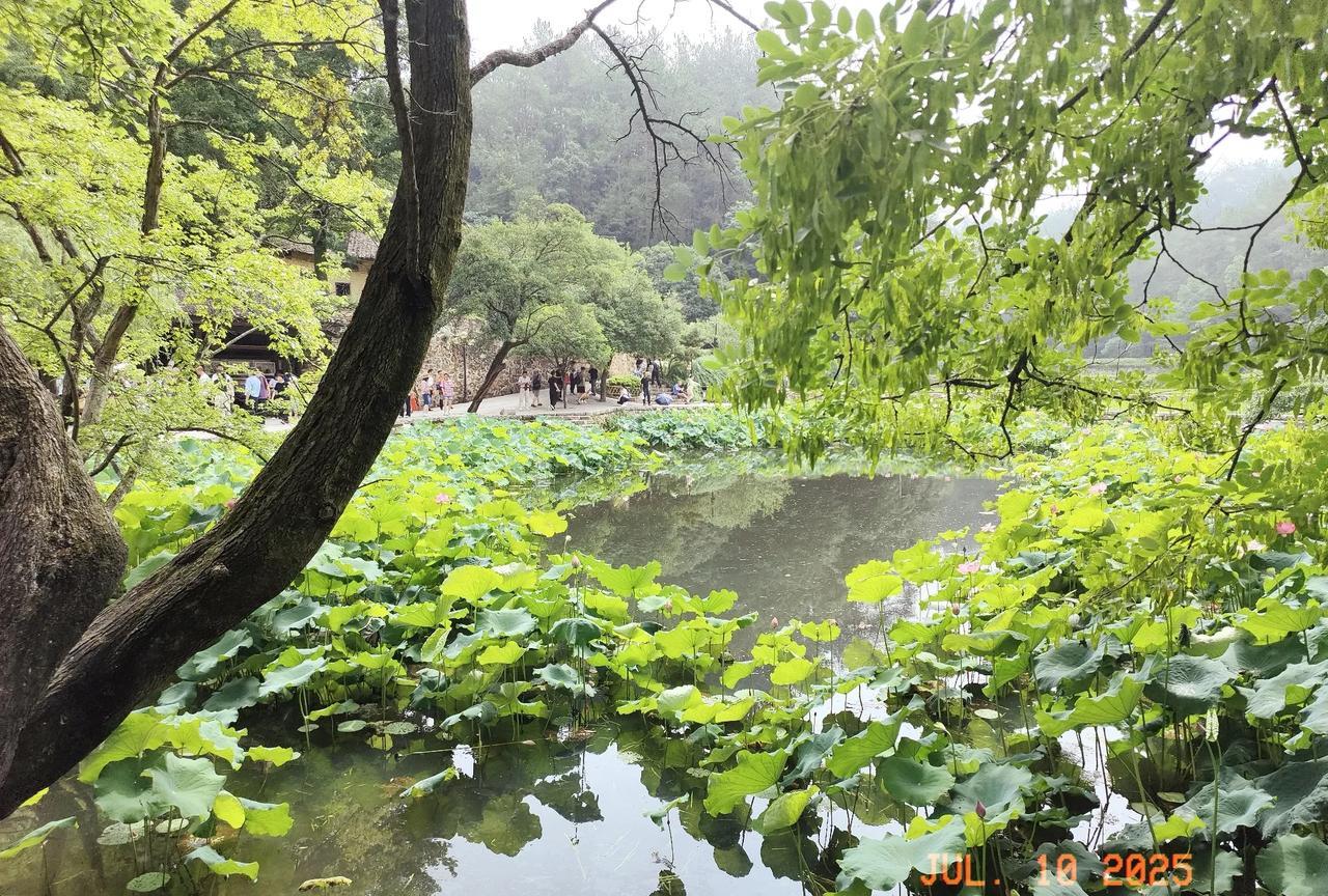 1. 管好嘴巴：不惹是非，少说闲话，饭不乱吃，话不乱怼。  
2. 手脚干净：不