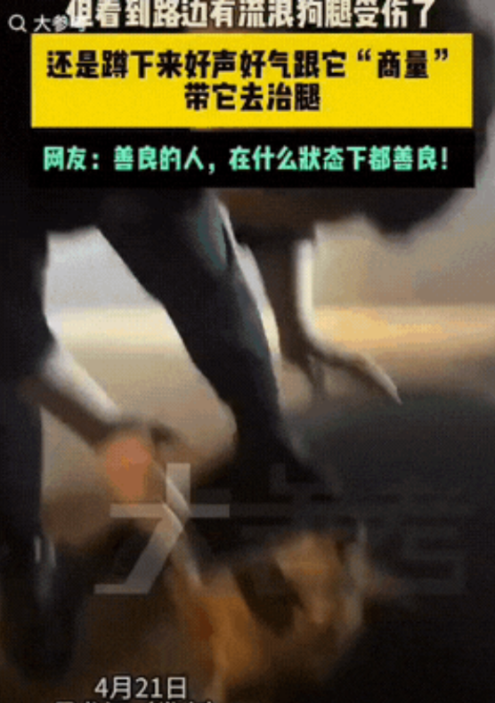 “太暖心了！”黑龙江，一大哥晚上喝醉了酒，在路边等妻子开车来接，等车的间隙，一只