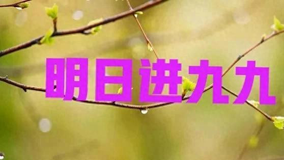 明日就九九，老话“二月无九九，不用问神仙”，今年九九在几月？