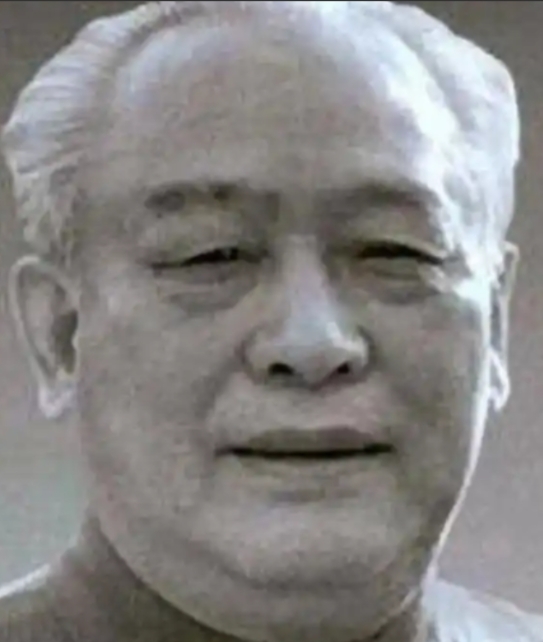 1960年寒冬，石油部长余秋里为救大庆油井，求罗瑞卿派飞机运5吨焊条。罗总长怒斥