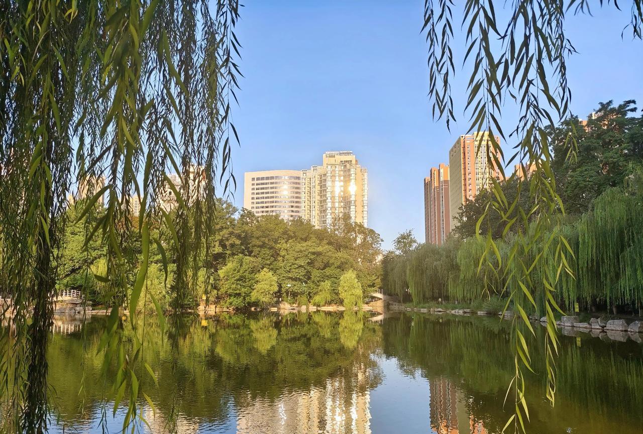 石家庄的早晨