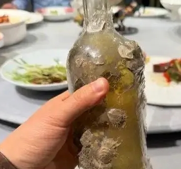 鬼才设计师，你们能理解吗