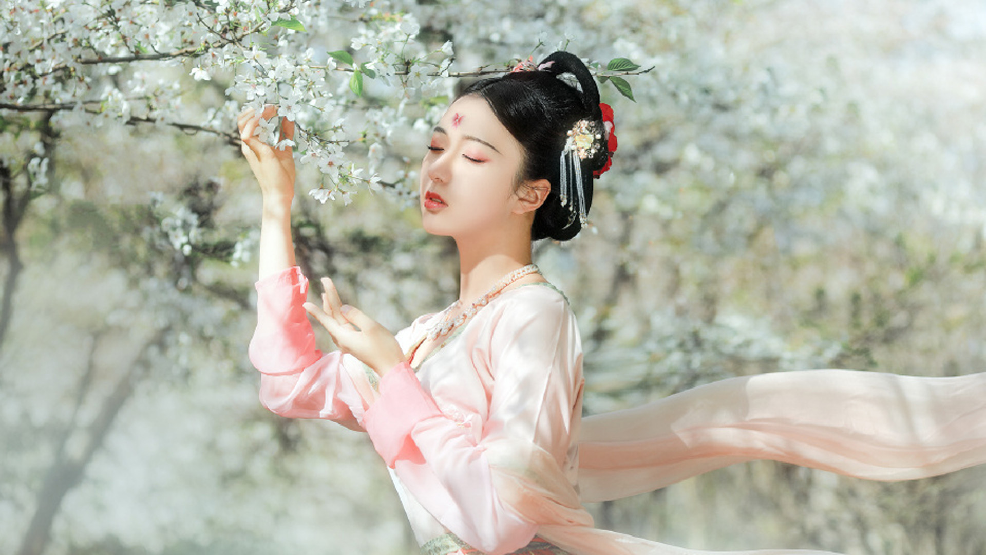 五本不同风格网络小说的书评