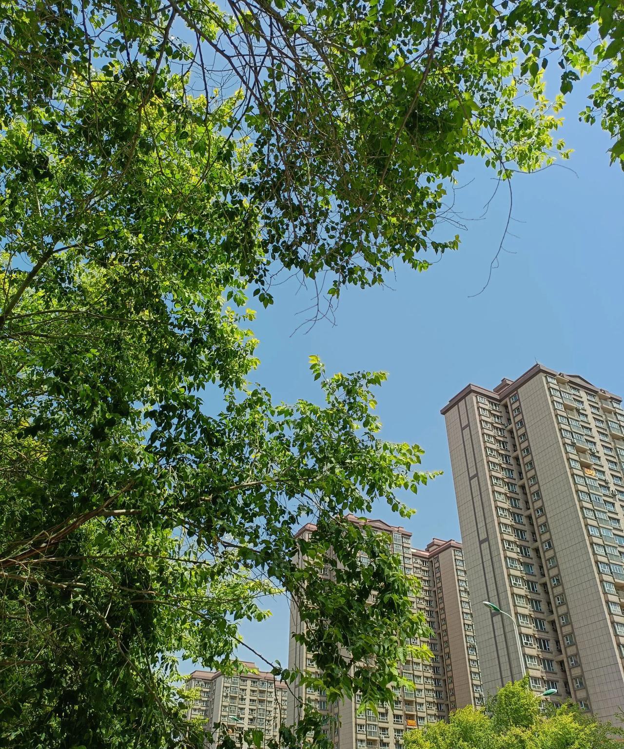 现在这银行就是事情多，
听说过存钱容易取钱难！
可今天真是让我见识了，
存钱也是