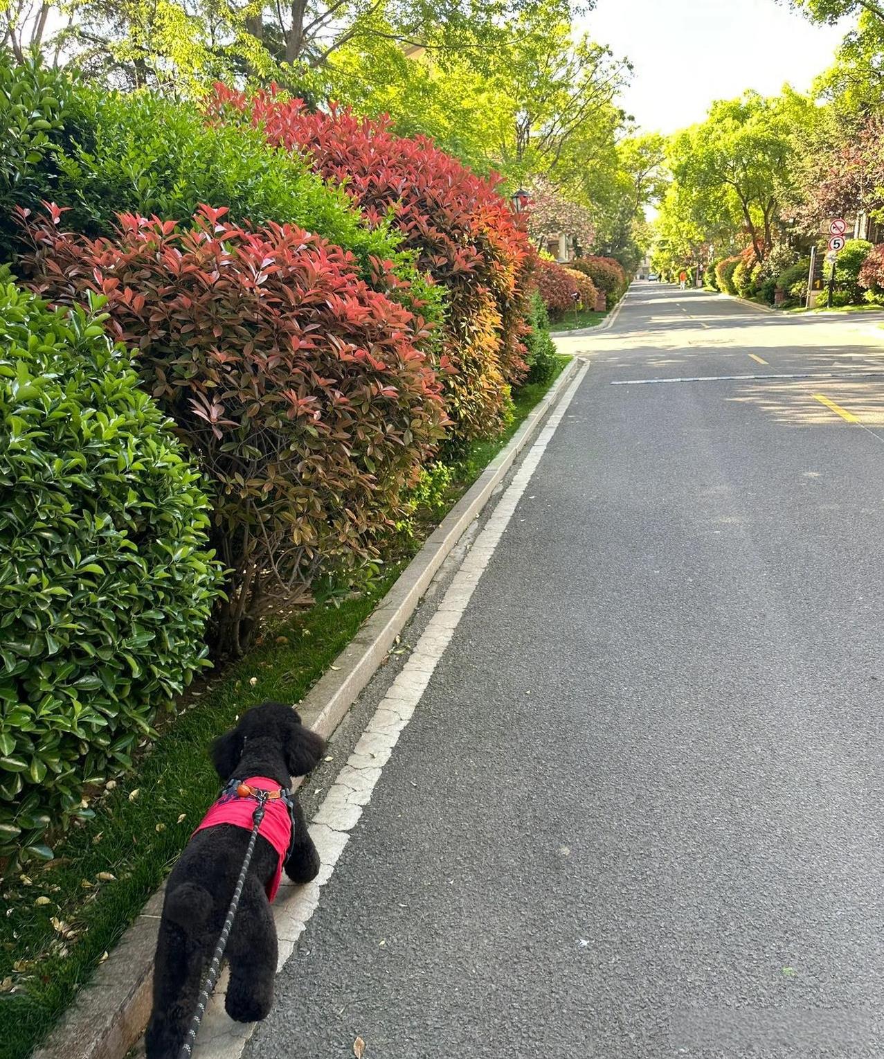 #为什么总是有人天天说取消物业# 没有无缘无故的爱恨情仇，肯定是有理由的，很多的