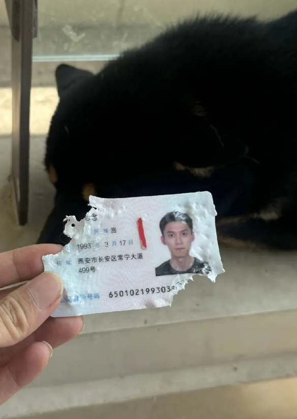 一觉起来天塌了，下午还要出差