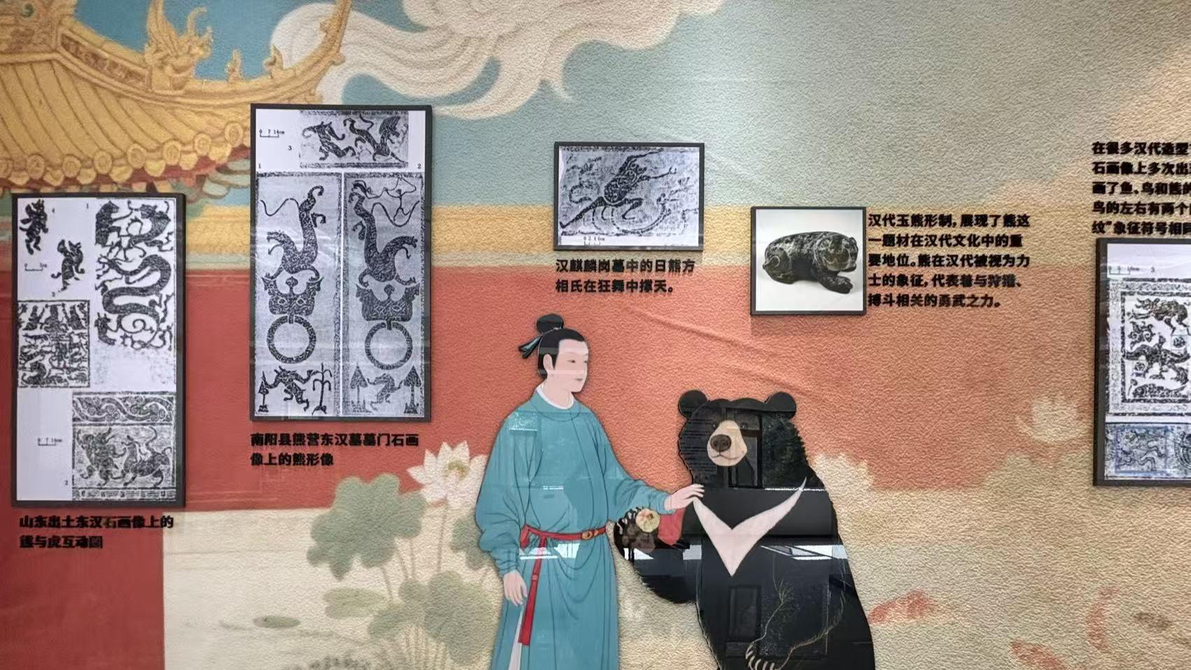 从展板到活态：在野熊谷，上一堂真正的黑熊观察课