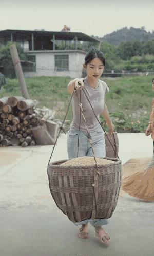 大家小时候晒过谷子吗？
晒谷子最怕的就是下雨，
大家都要抢在淋湿前把谷子收起来，