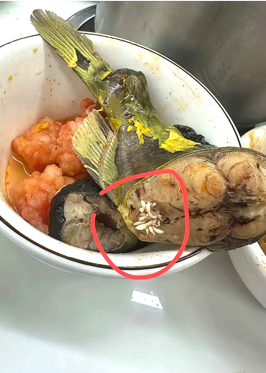 这是鱼籽吗？