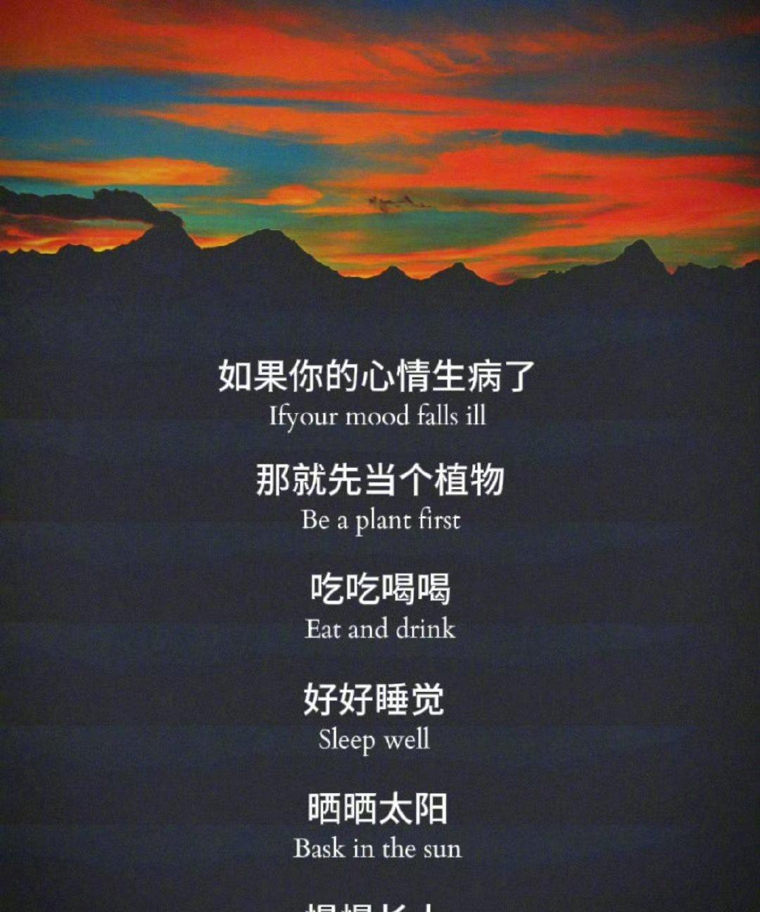 如果你的心情生病了
那就先当个植物