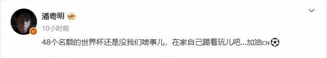 影视演员潘粤明作为中国足球的球迷，对中国足球是恨铁不成钢，虽然他对中国足球寄予了