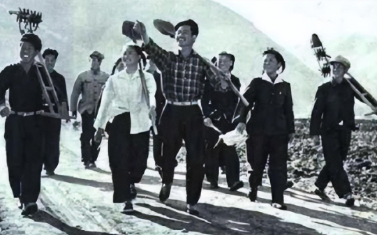 2009年，老知青时隔40年回村做村官，弃高薪带瘫痪丈夫，带老乡致富