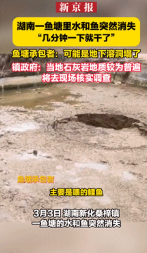 “这谁顶得住？”湖南新化，一鱼塘突然张开“大嘴”，把200多斤的鲤鱼“吞了”！不