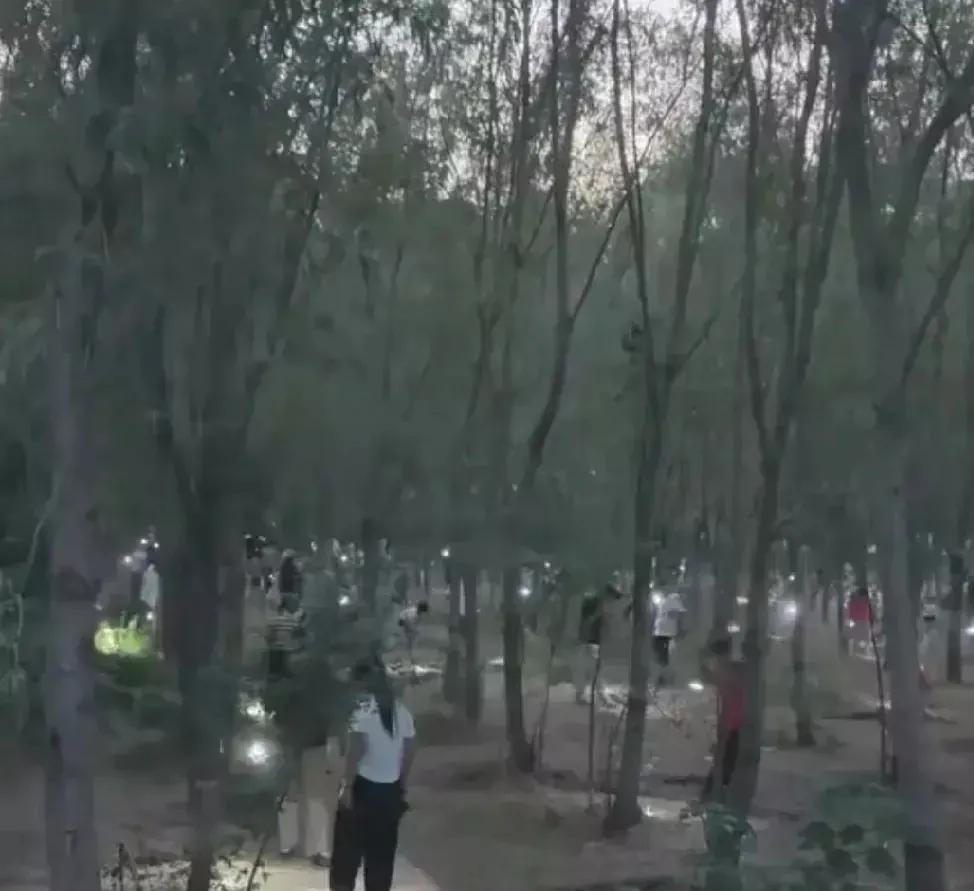 “蝉噪林逾静，鸟鸣山更幽”，“居高声自远，非是藉秋风。”
这些天看到很多北方网友
