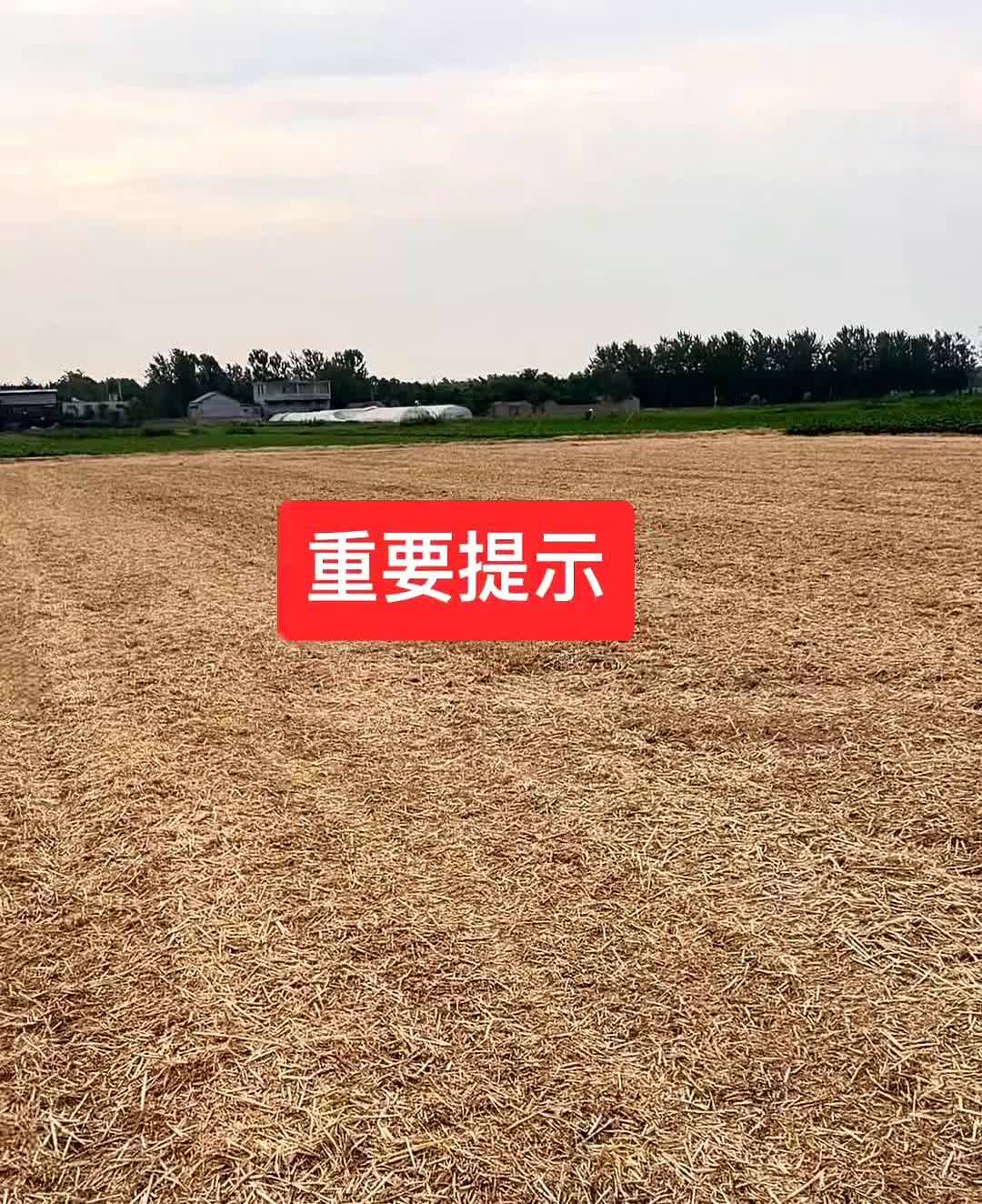 重要提示。

大家注意了，今天15号，就是18、19号左右连续三四天的大雨。