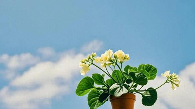 高情商：无声行动中的智慧与善意