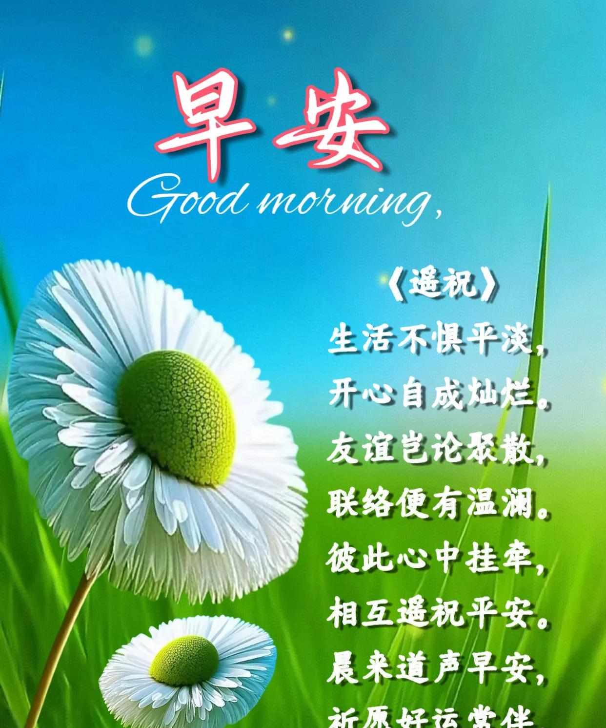 朋友：早安！
《遥祝》
生活不惧平淡，开心自成灿烂。
友谊岂论聚散，联络便有温澜