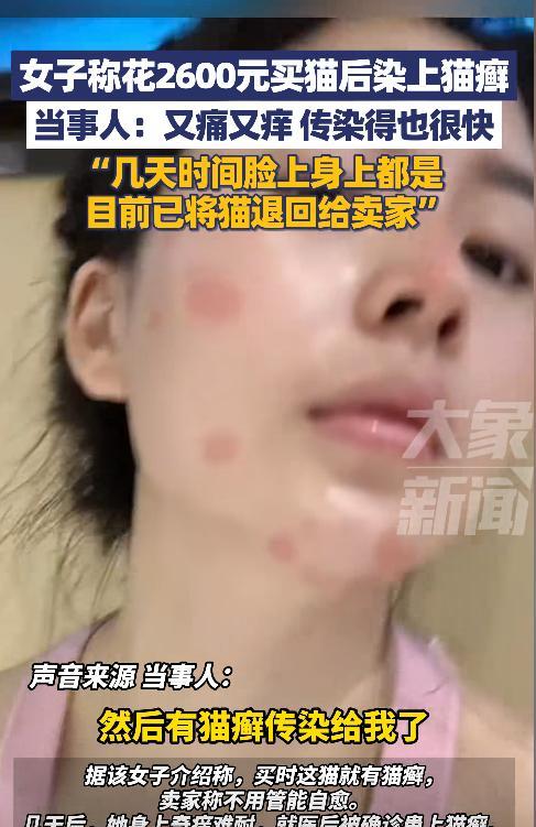 浙江嘉兴，近日，女子花2600块钱买了一只猫当宠物，结果几天后她就后悔了，女子的