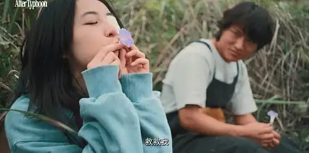    看了《下一个台风》，令我非常触动的一部片子。 这部以性侵事件为切口的现实主