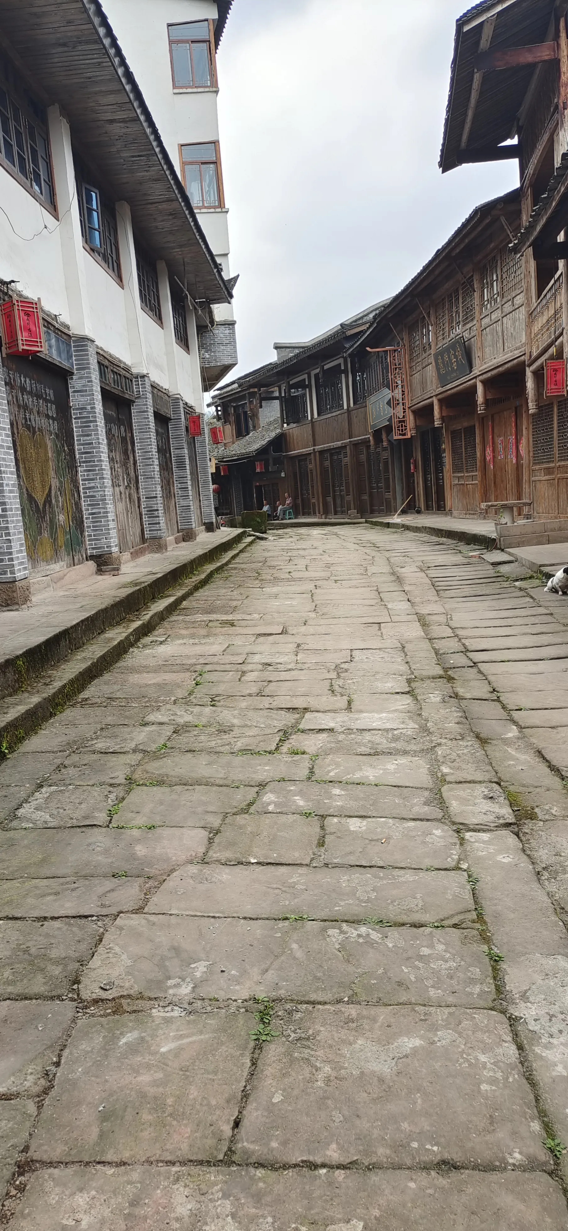 苏联还在？乌克兰危机是内务事











---









