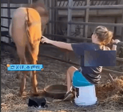 

[胡瓜]血的教训！国外一女子喂马，马吃饱后，突然把屁股对着女子，而且马还再三
