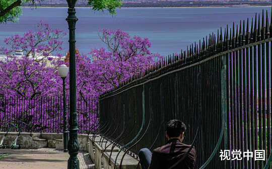 女儿的成人礼当天，丈夫送了她个弟弟