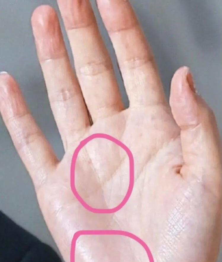 无名指下有“名气线”，需要又深又直，容易得到名气，不是明星剧本也能得到“名气”，