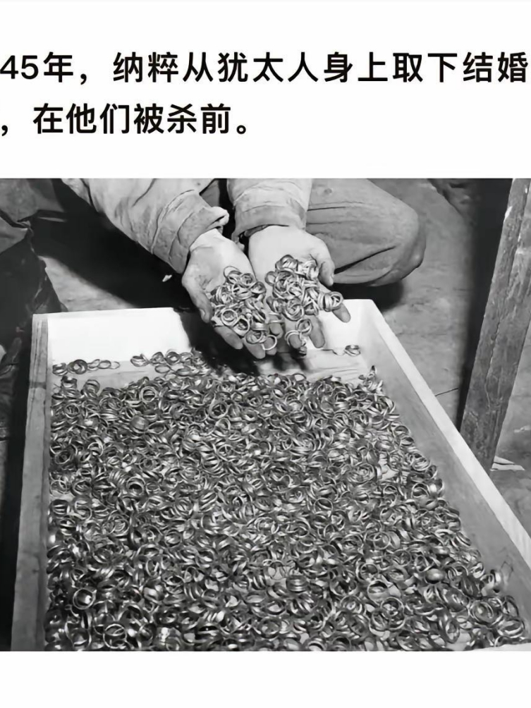 纳粹剥夺犹太人婚戒，作为其生命终结前的残忍一幕。

